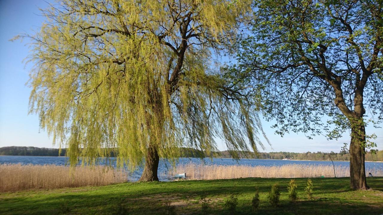 Domek Letniskowy Dario Ińsko 外观 照片
