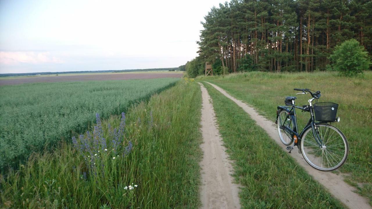 Domek Letniskowy Dario Ińsko 外观 照片